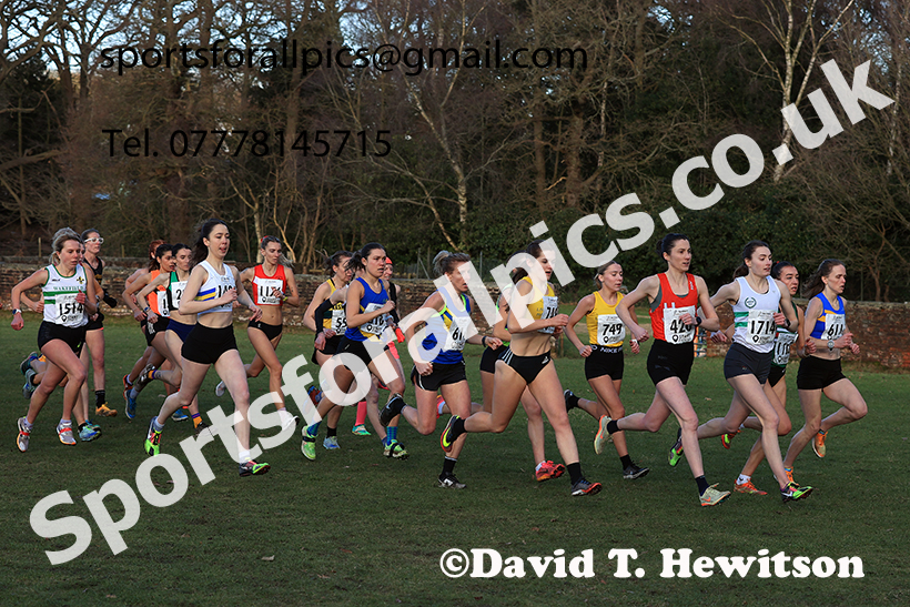 Senior womens 2025 Northern Cross Country Champs, Tatton Park, Knutsford, Cheshire. Photo: David T. Hewitson/Sports for All Pics